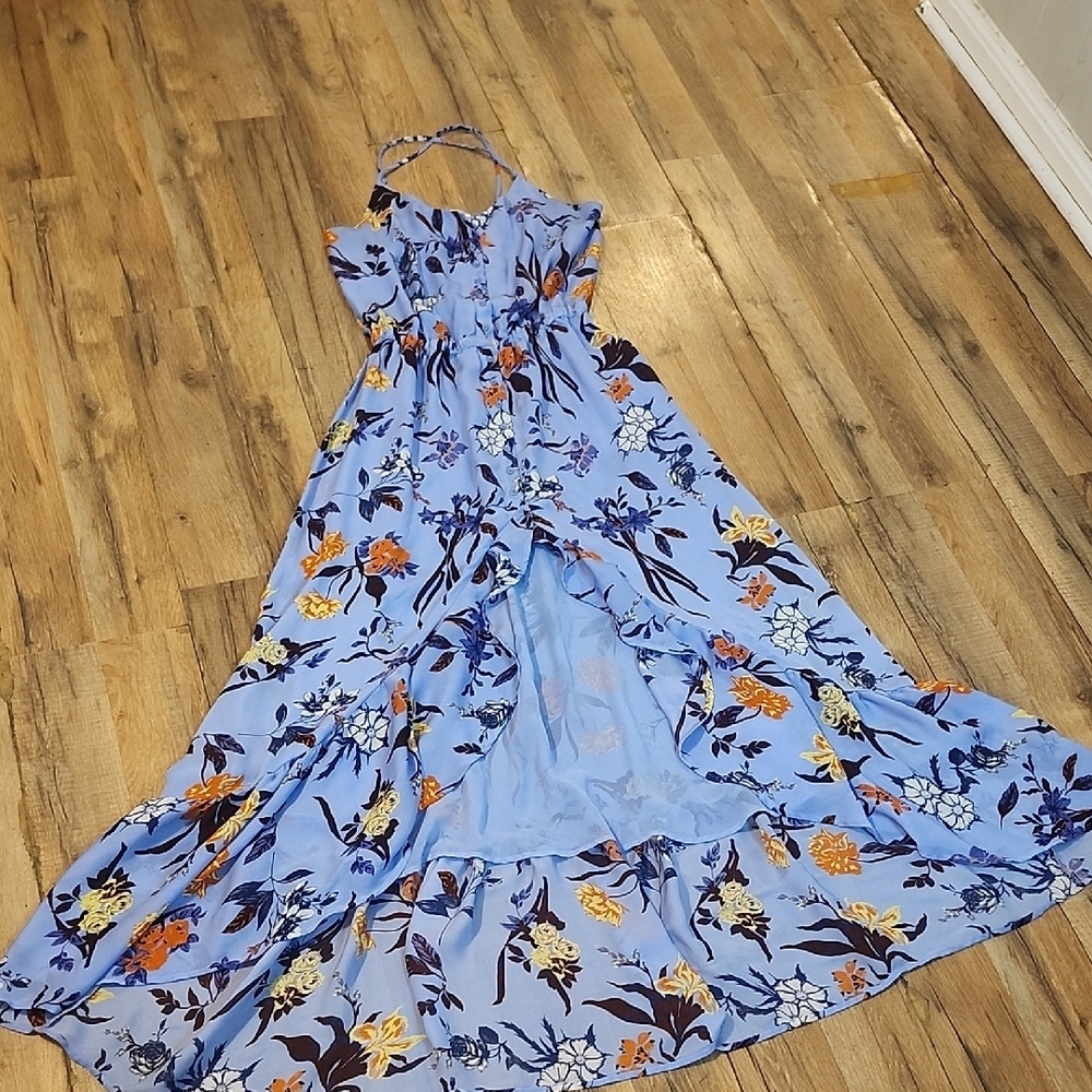 Belle Vere Floral Blue Maxi Dress
